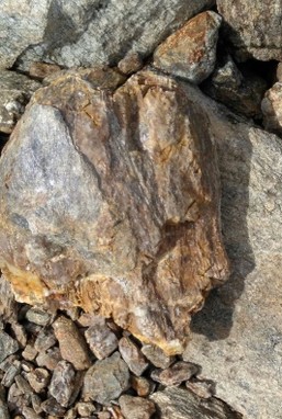 Naturwesen im Feenwald